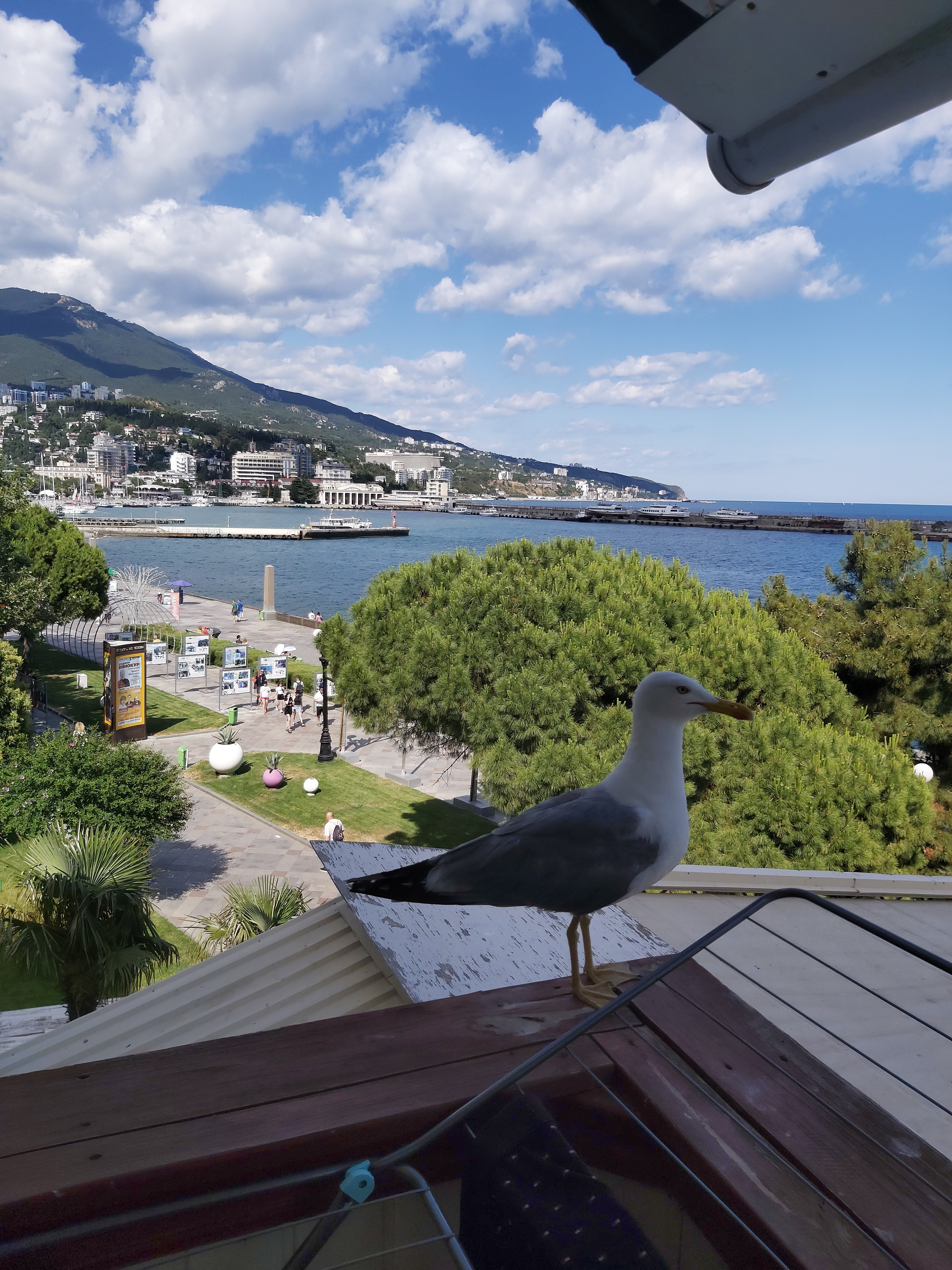 Фото Приморье