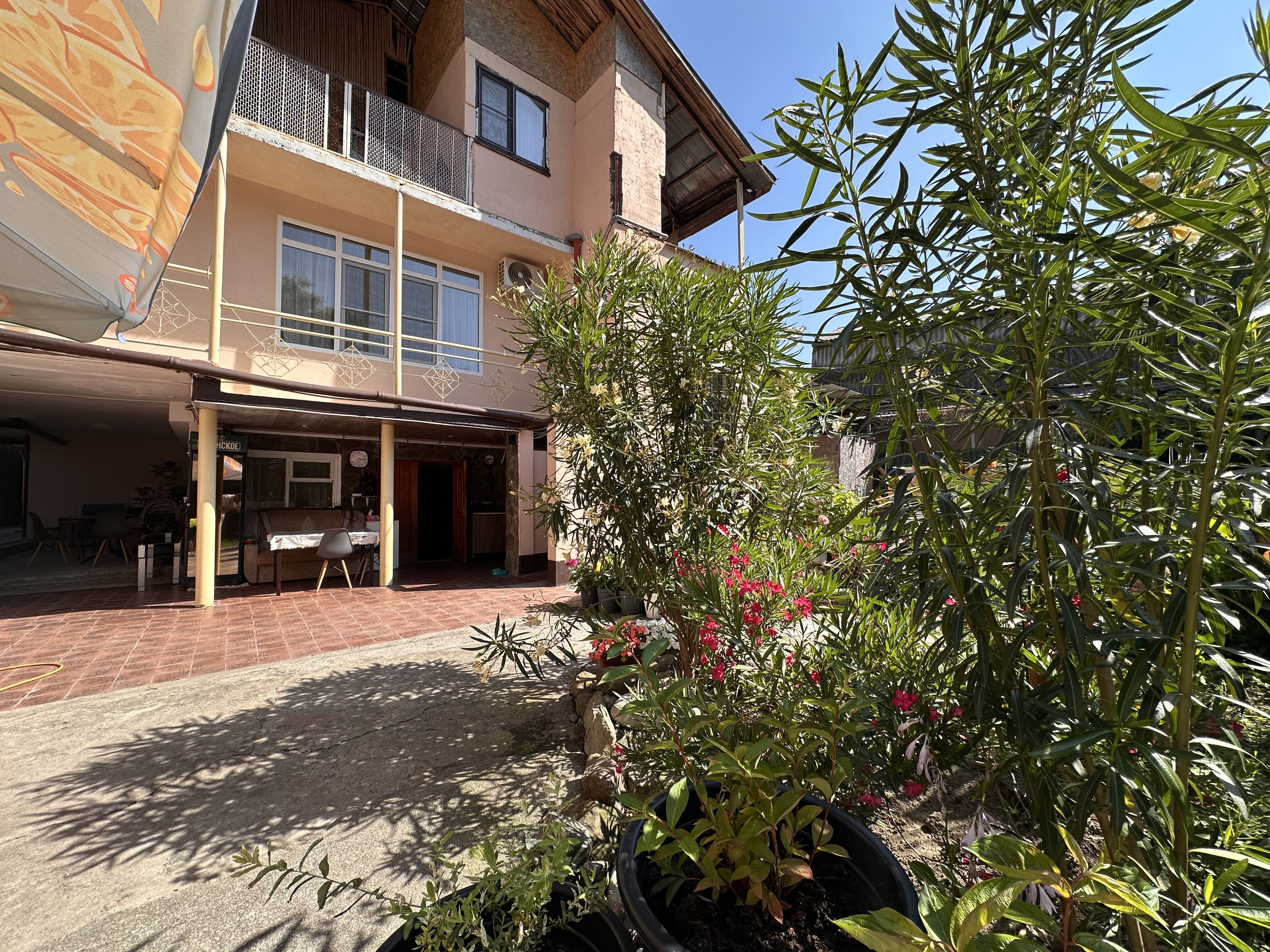 Фото Бамбуковая Роща