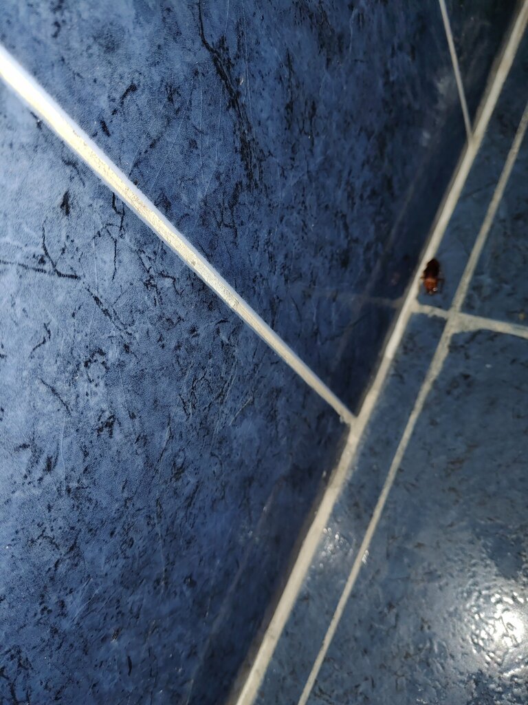 Resort Aksom-2 Recreation center, Krasnodar Krai, photo