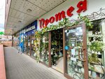 Protea (Gorkogo Street, 96), flower shop