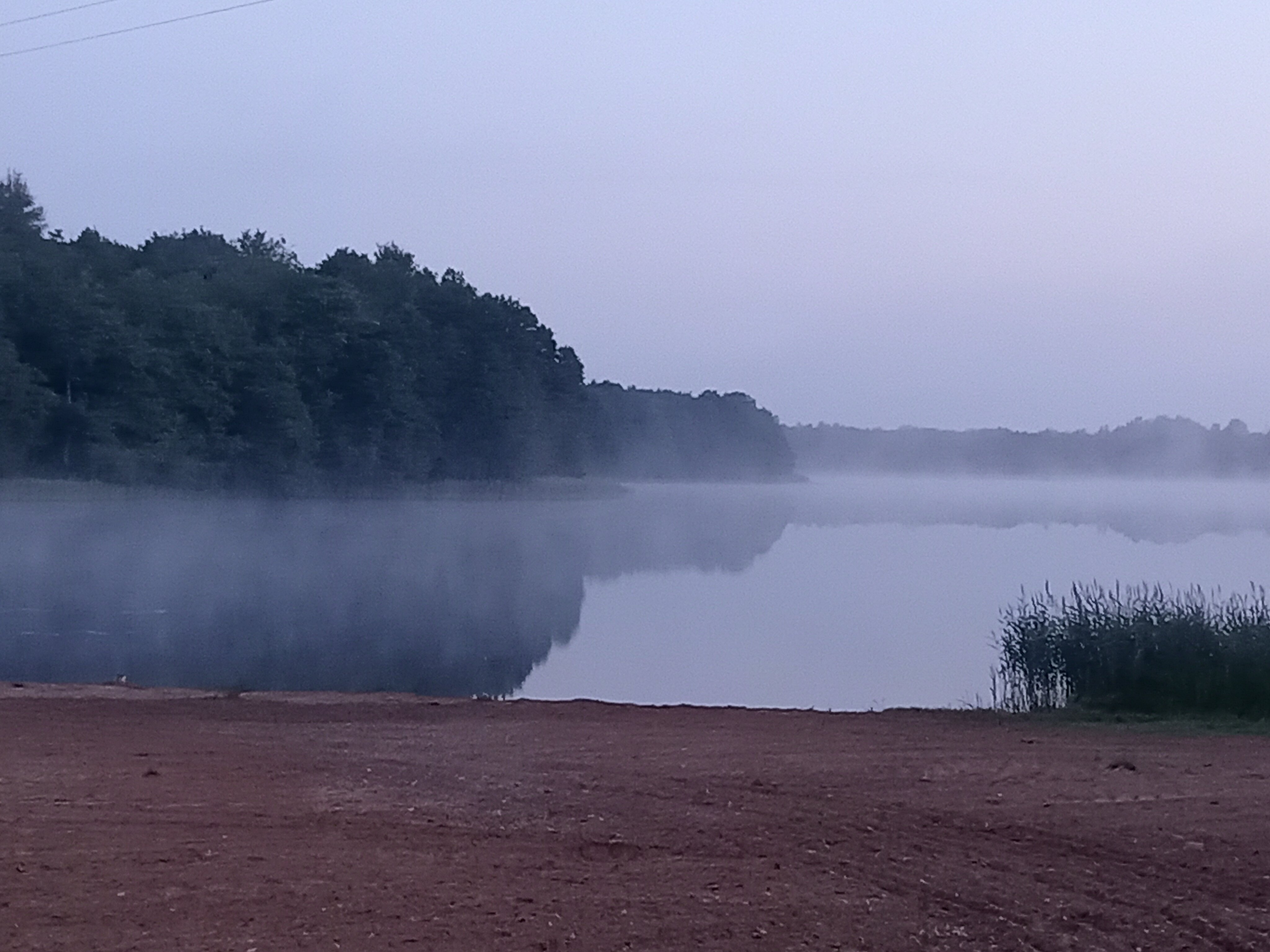Фото Лесная гавань