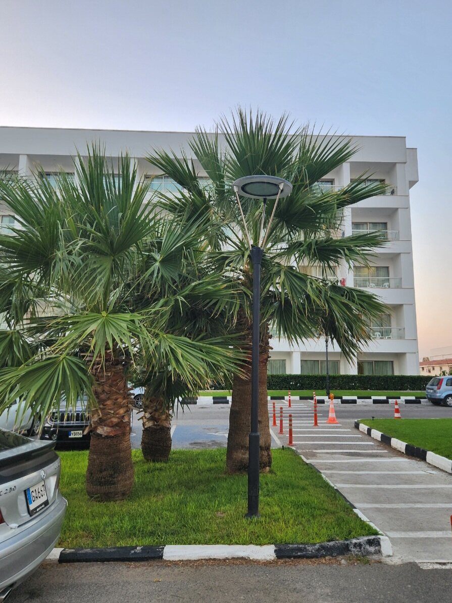 Фото Salamis Bay Conti Resort Hotel