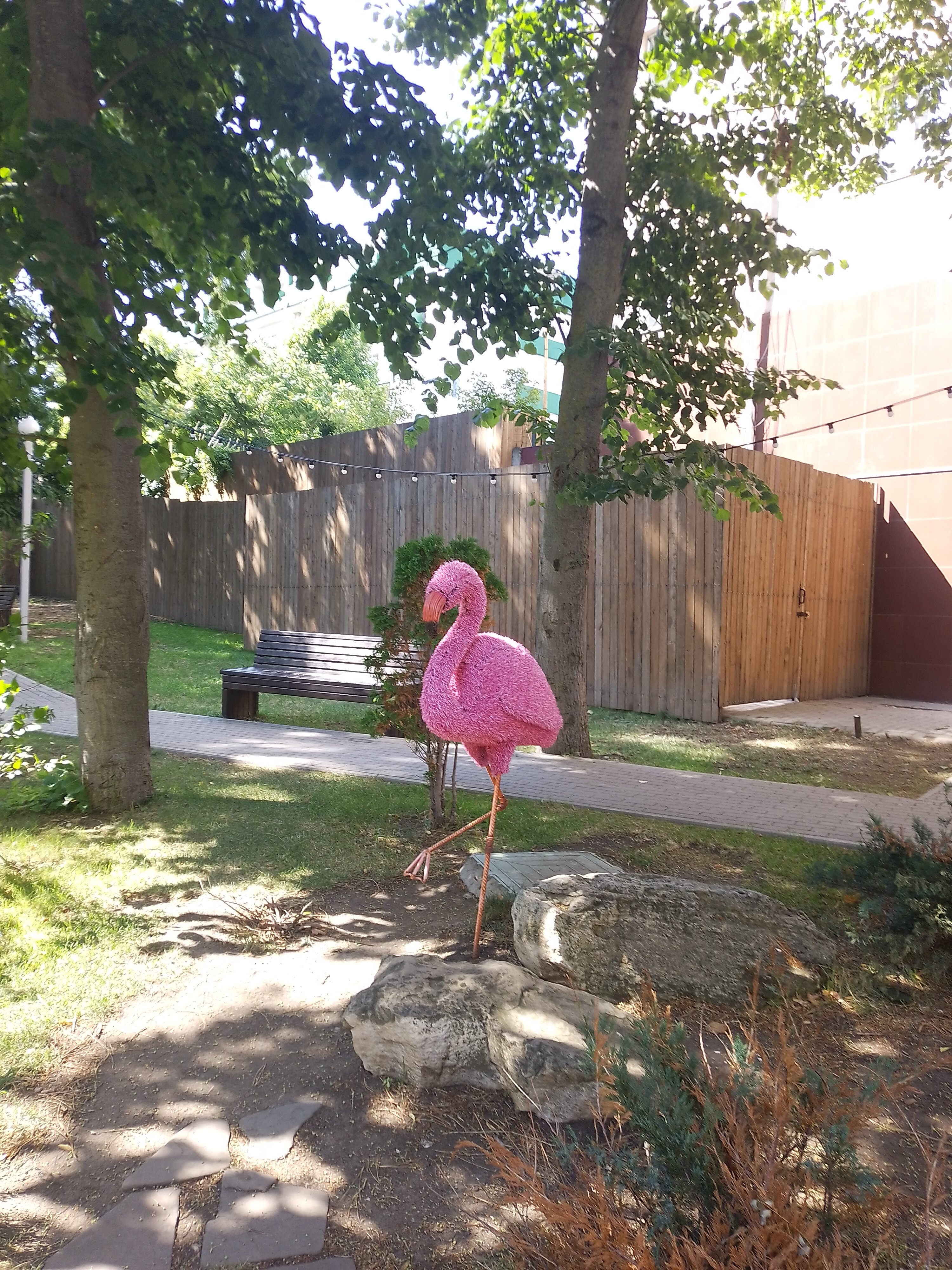 Фото Евразия