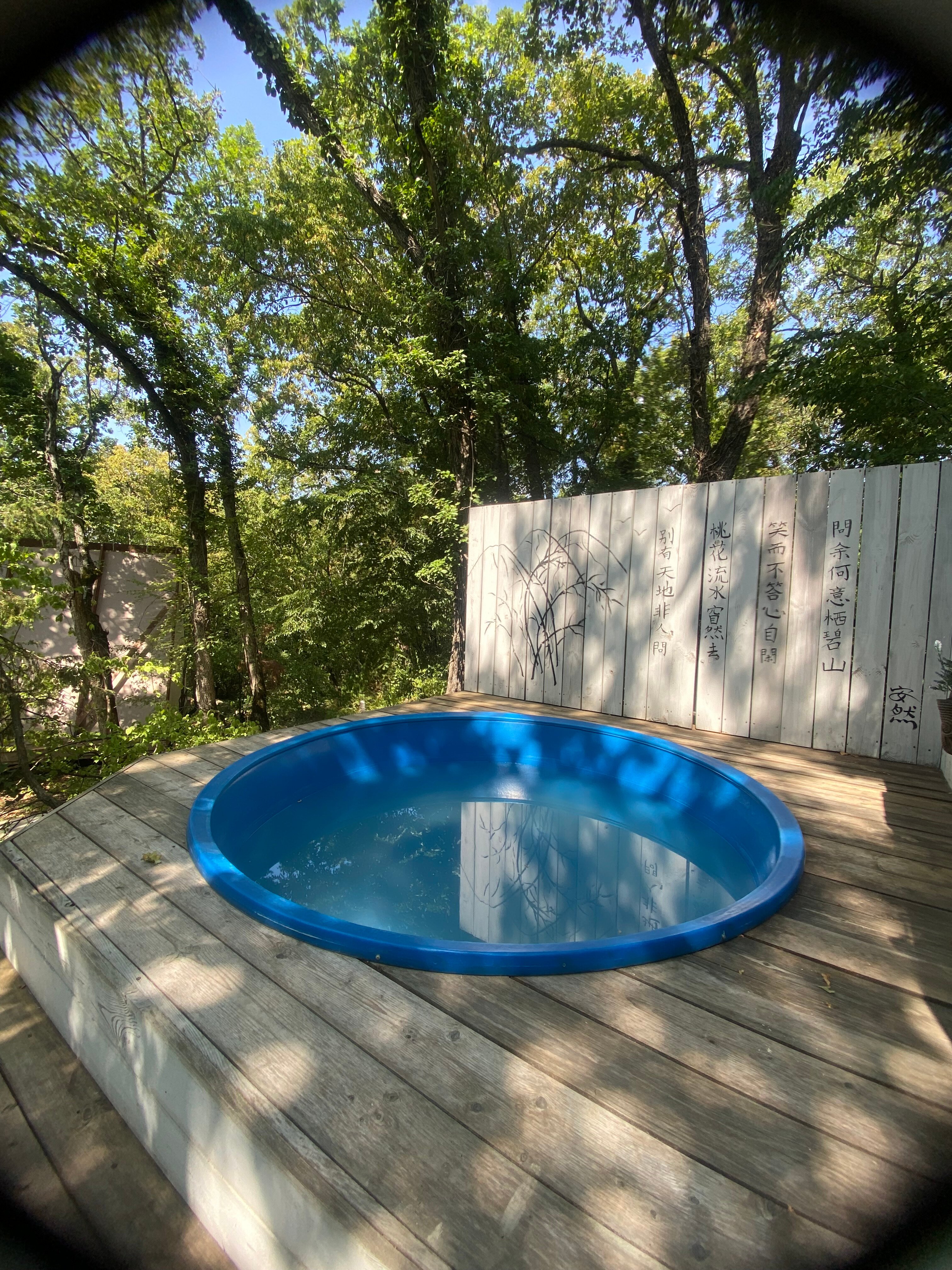 Фото Горный Енот