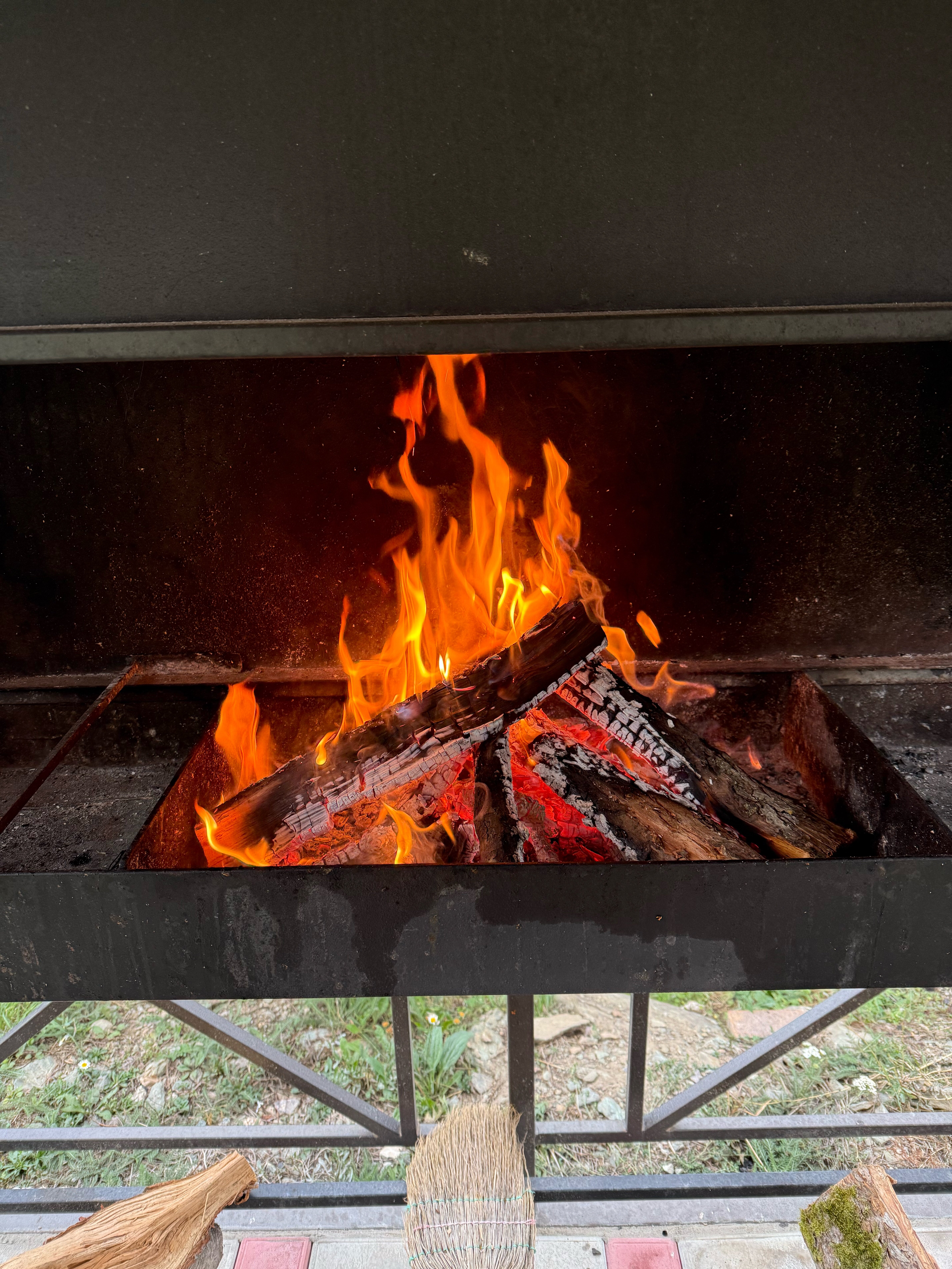 Фото Феникс