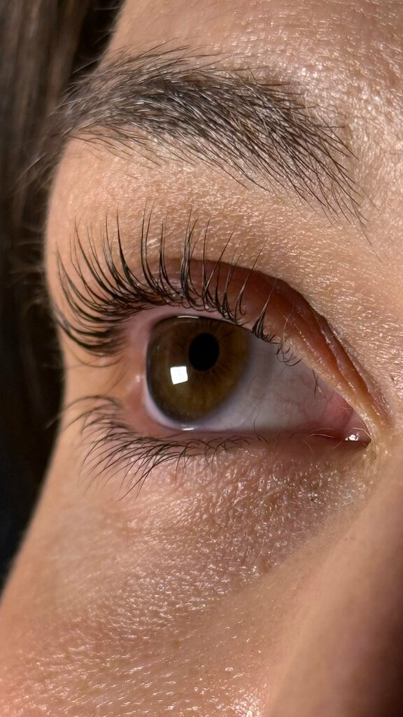 Eyebrow and eyelash salon Manulli. Brow, Yaroslavl, photo