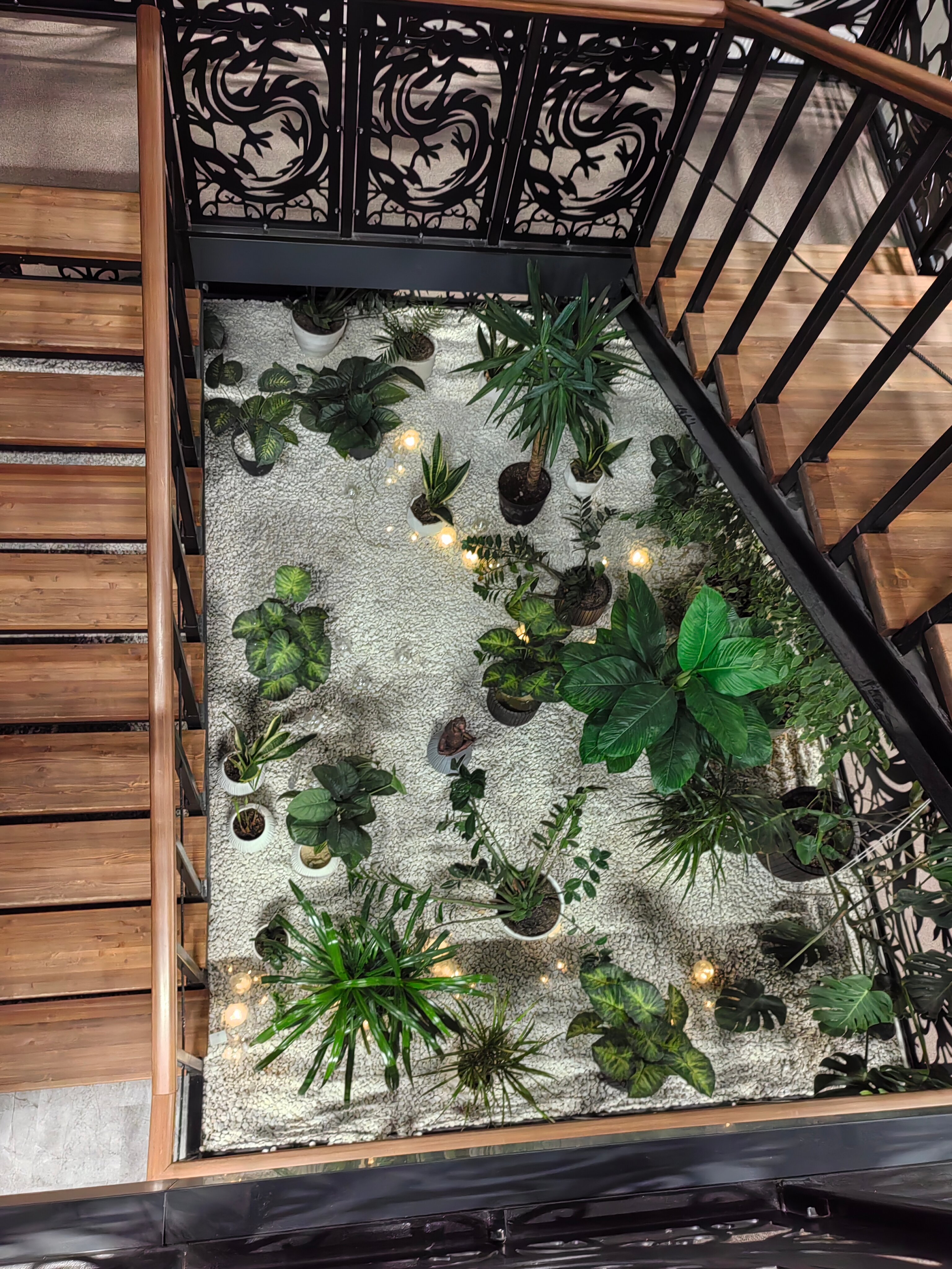 Фото Марко Поло Гарден