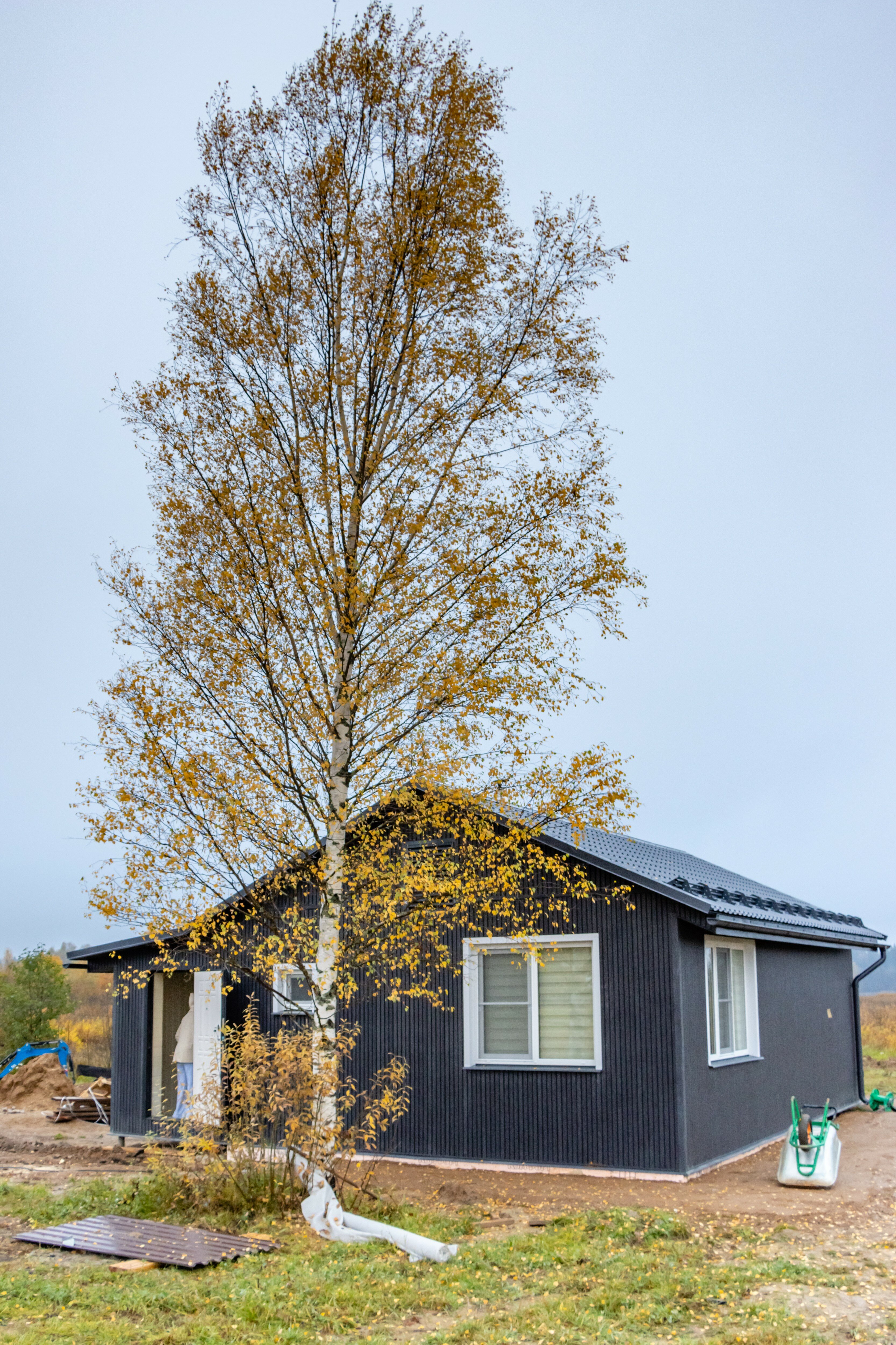 Фото Мыза Иногоща