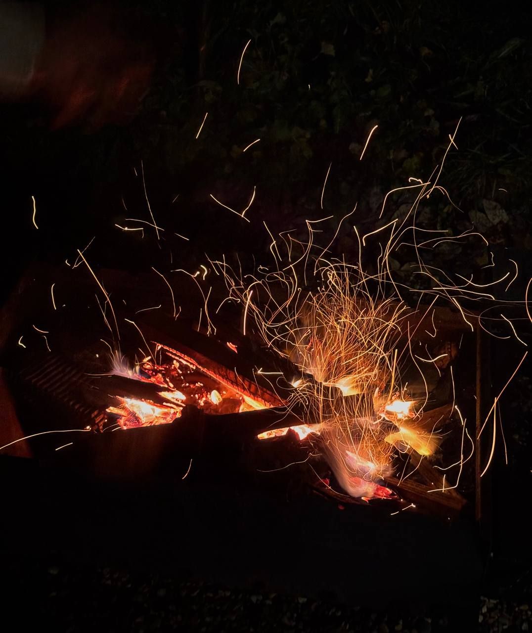 Фото Три Обезьяны