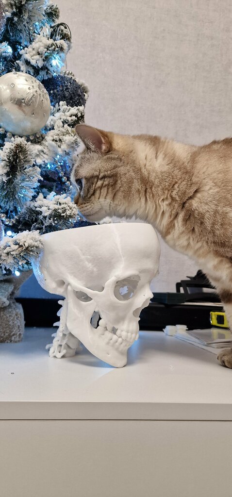 3D services Triaprint, Zelenograd, photo