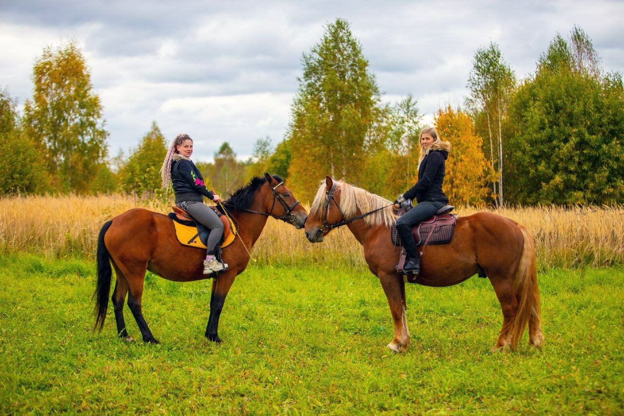Фото Хутор Филино