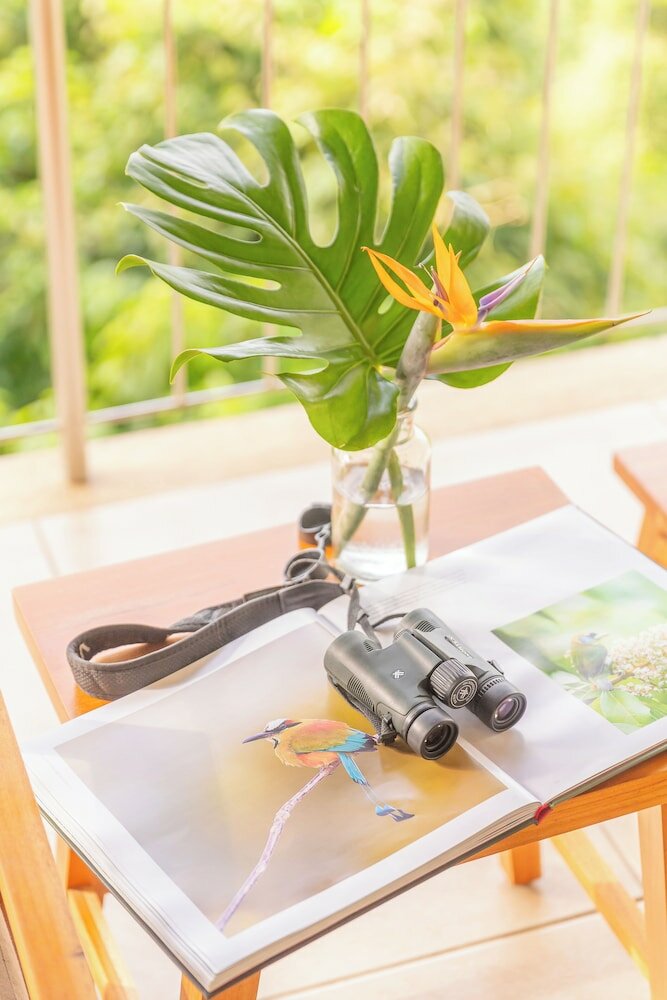 Фото Hotel Boutique Lagarta Lodge