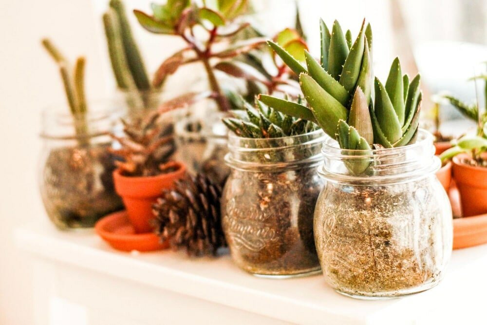 Фото Guest House Camilla