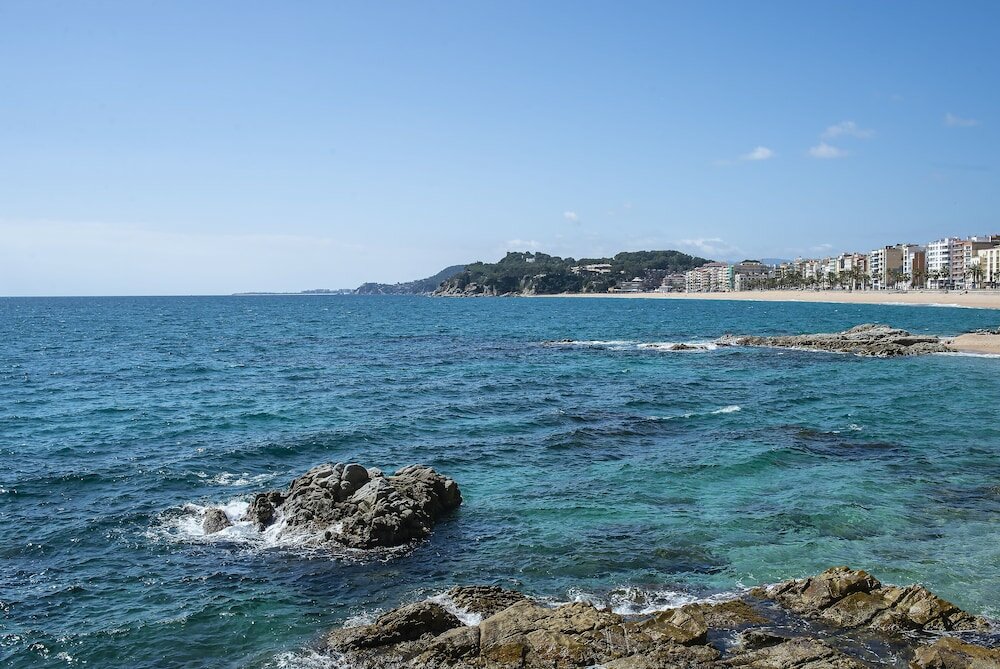 Фото Hotel Lloret Santa Rosa