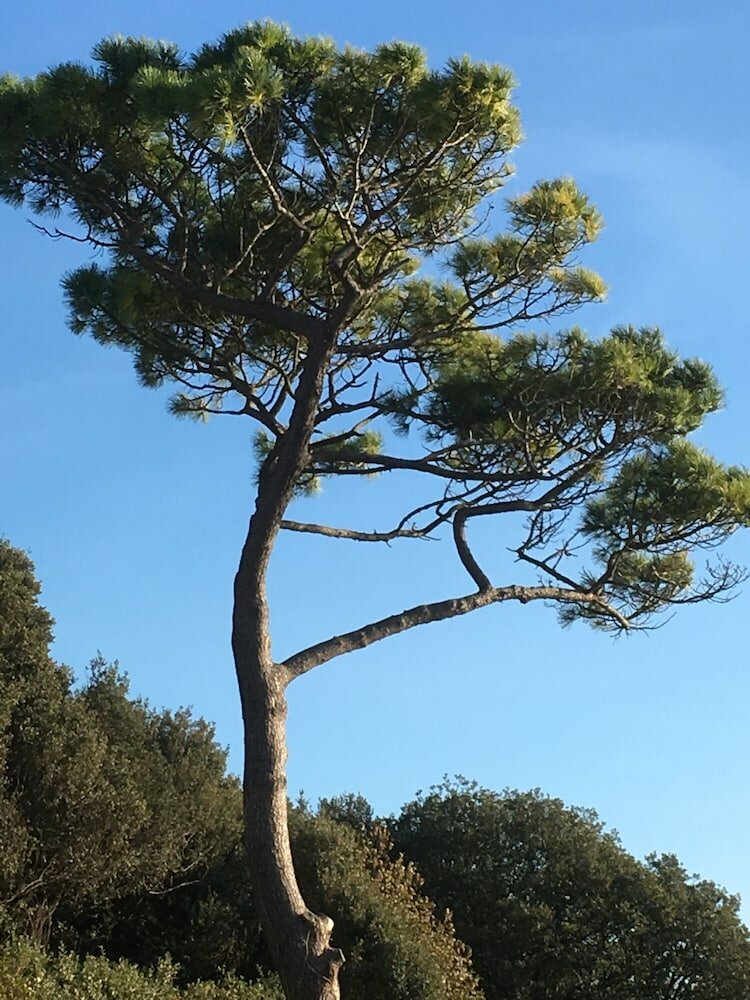 Фото Newburgh Guesthouse