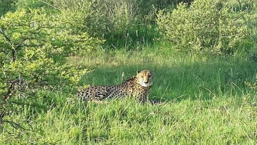 Внешний вид отеля Foreva Wild в Городской метрополитенской муниципалитете Тшване, фото 2
