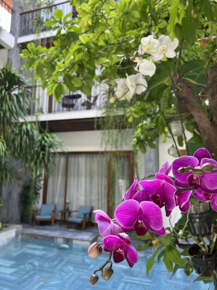 Фото Tam House Villa Hotel