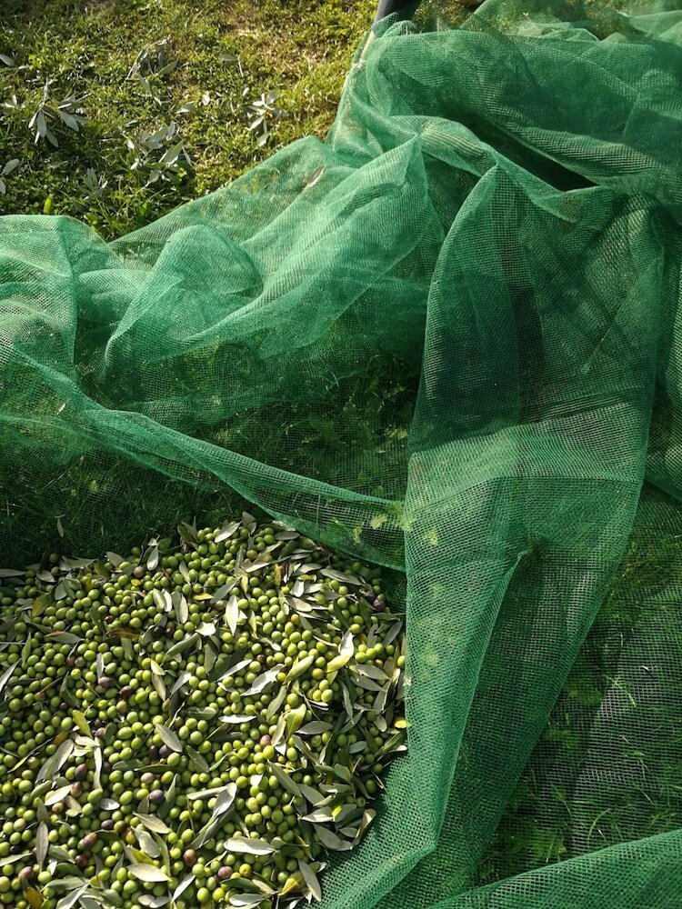 Фото Podere delle Fanciulle