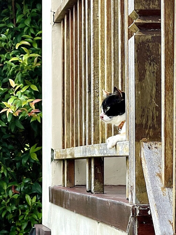 Фото Lantala Residence