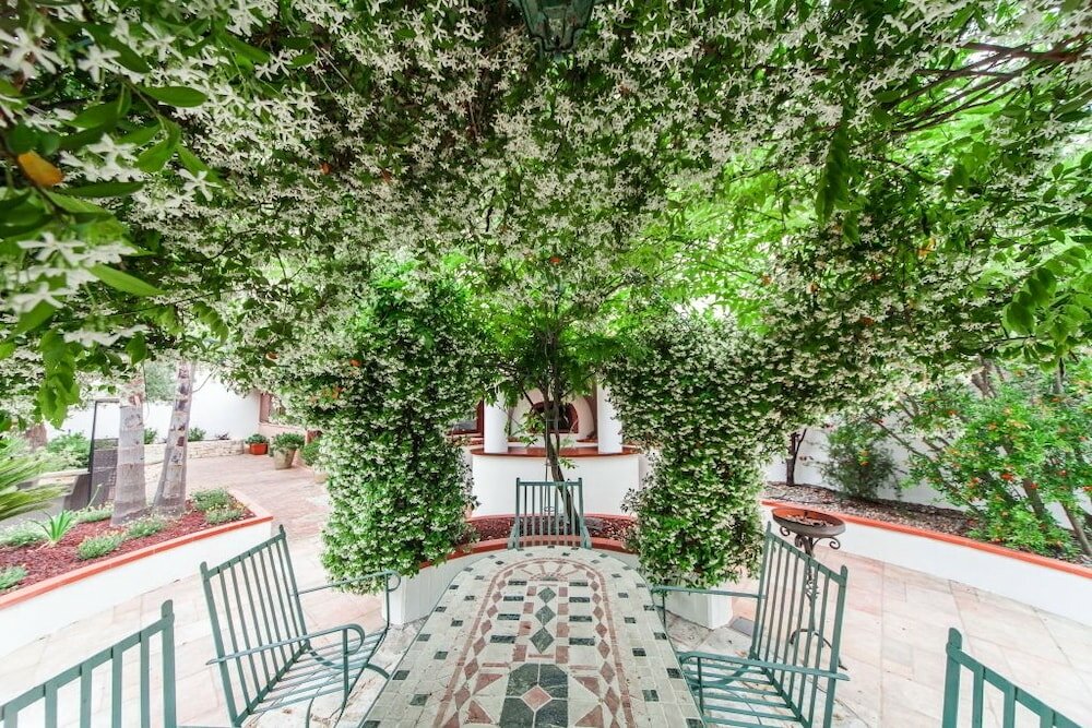 Фото B&b Antico Ulivo