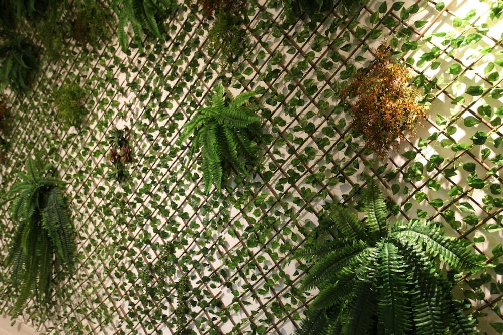 Фото Crocobeach Hotel