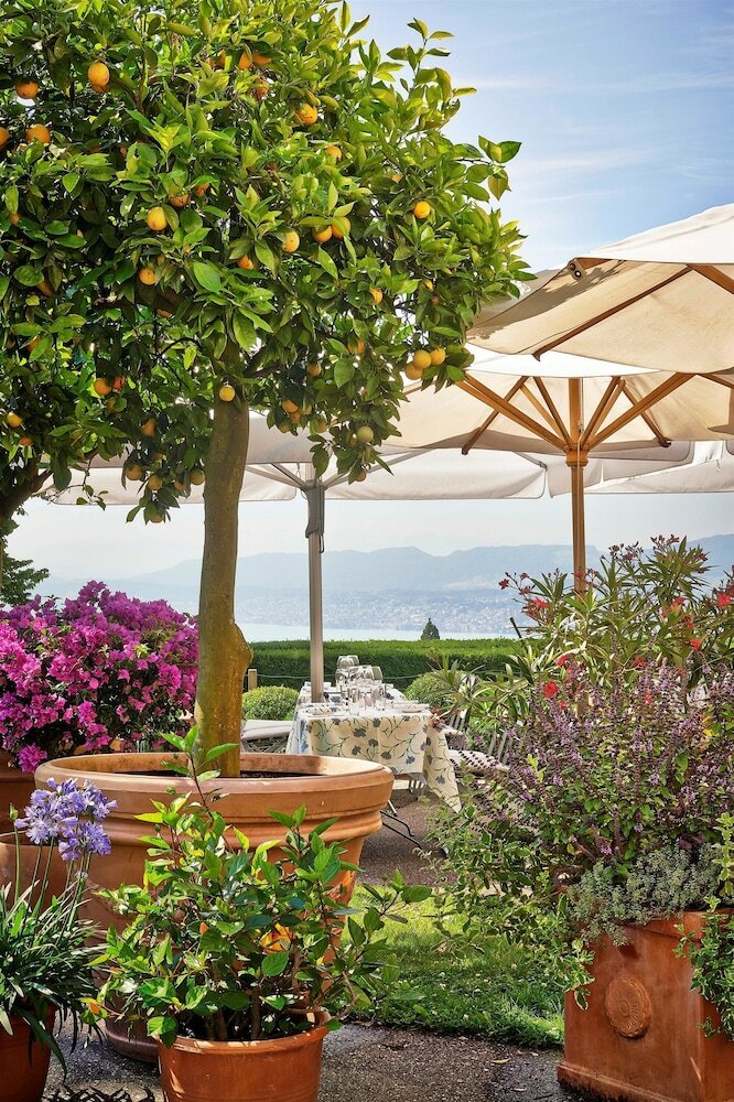 Фото Sorell Hotel Zürichberg