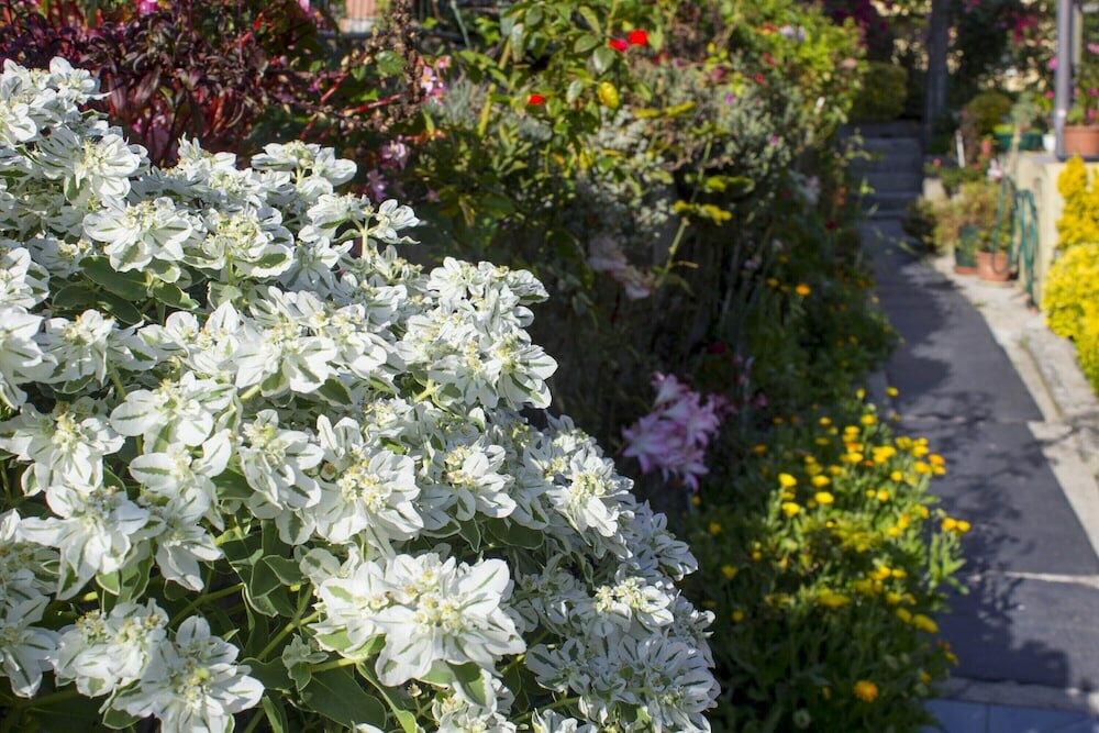 Фото Hotel Estoril Porto