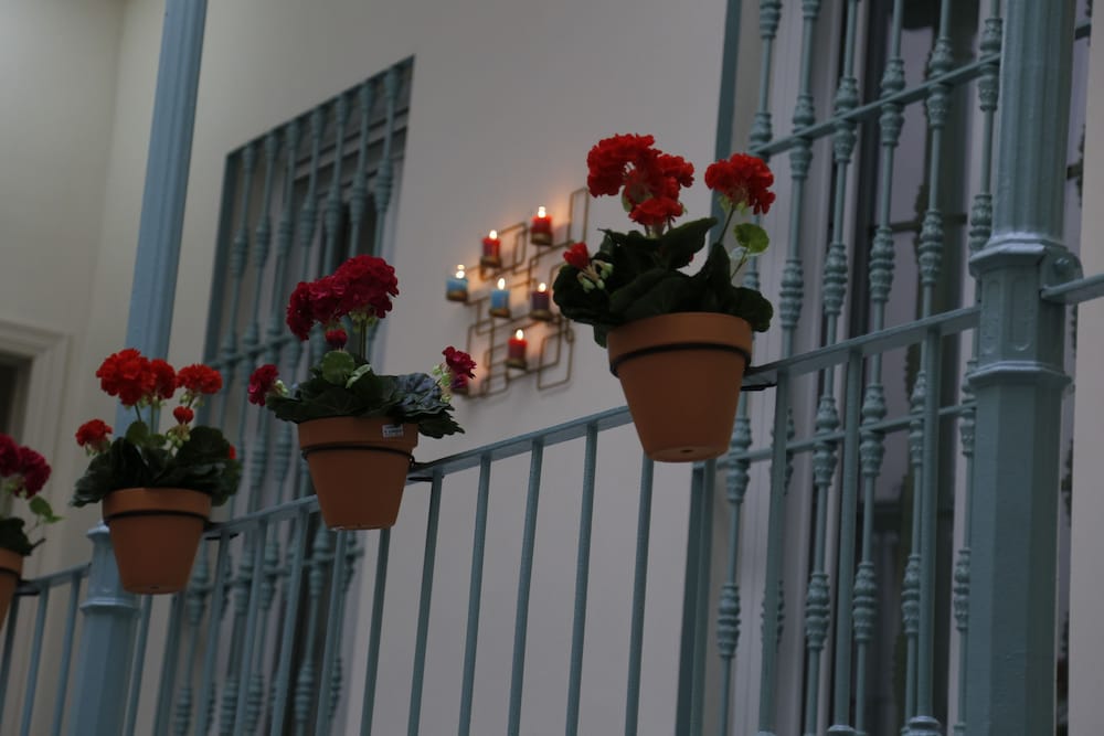 Фото Nüa Alameda