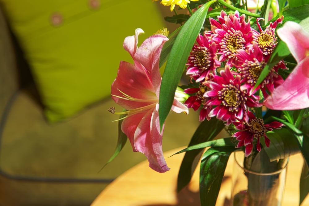 Фото Hotel Triada