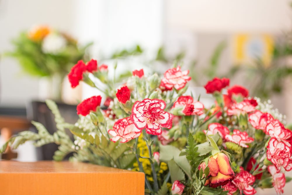 Фото City Hotel Freiburg