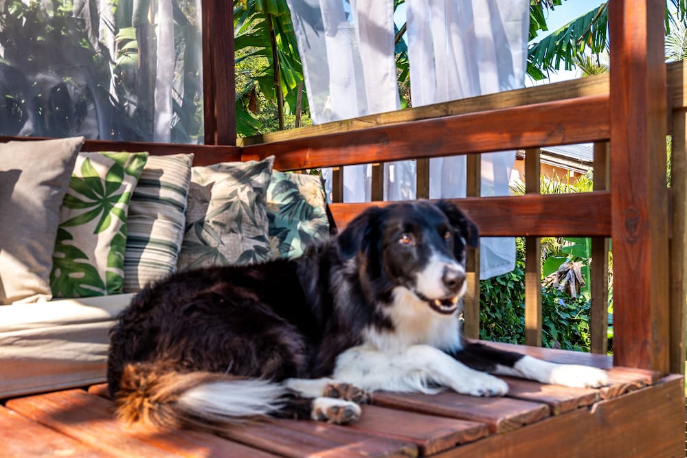 Фото Pousada Morada da Praia do Rosa