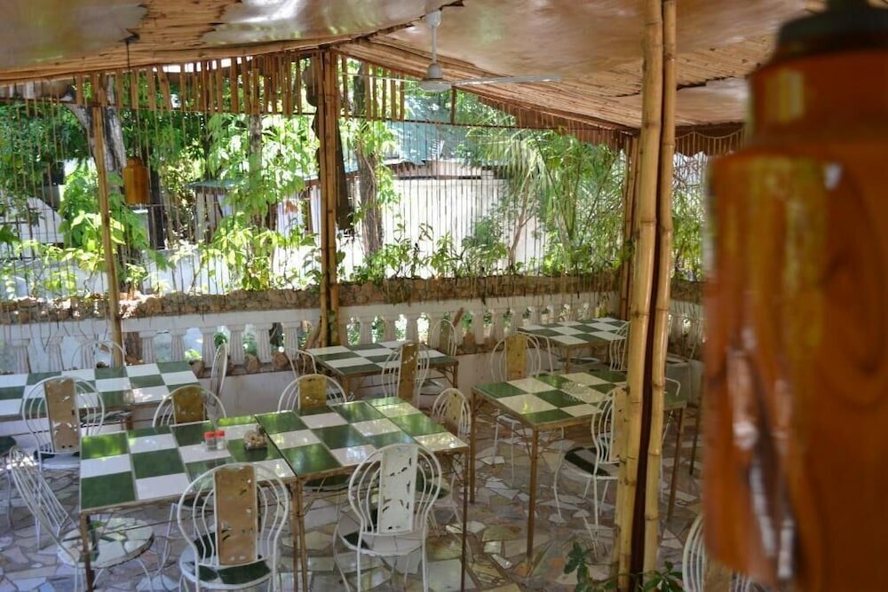 Фото Pacot Breeze