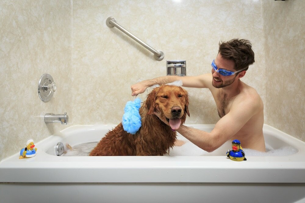 Фото Accent Inns Vancouver Airport