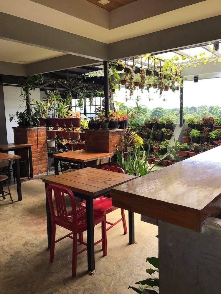 Фото Aliria Bed and Breakfast