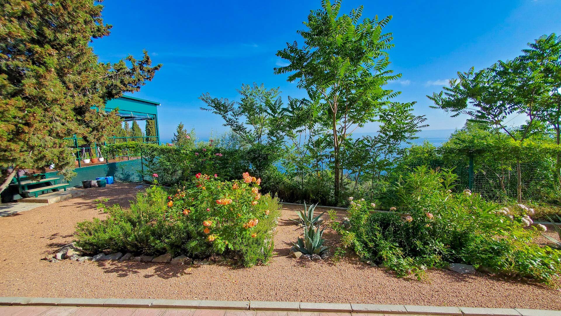 Фото Жуковка