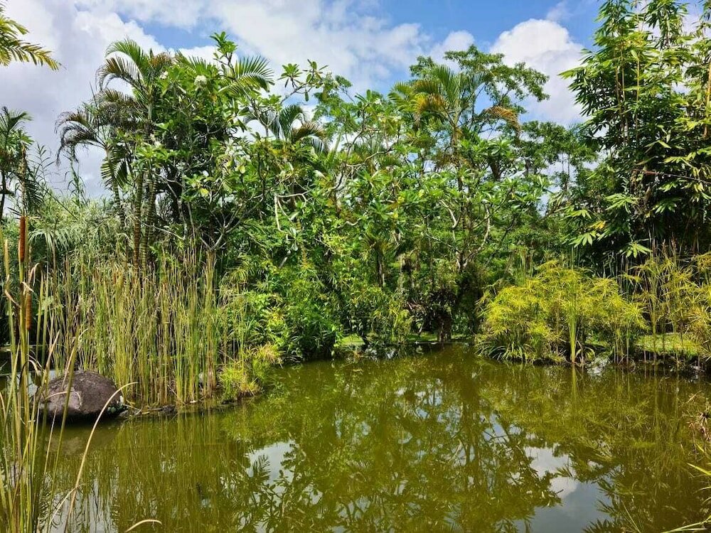 Фото Ayurvedagram Bali