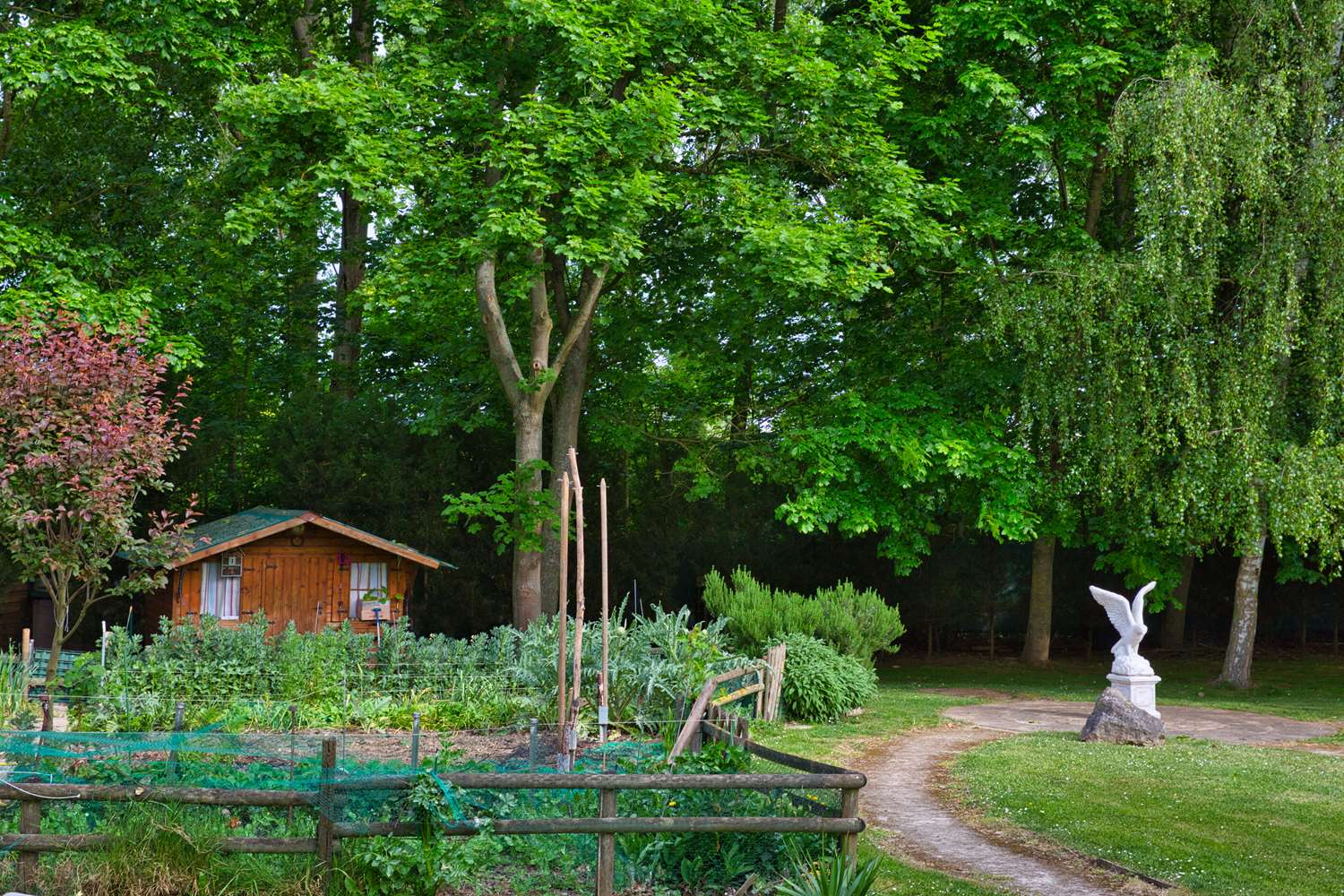 Фото Sure Hotel by Best Western Lille Tourcoing Ex Hotel Garden