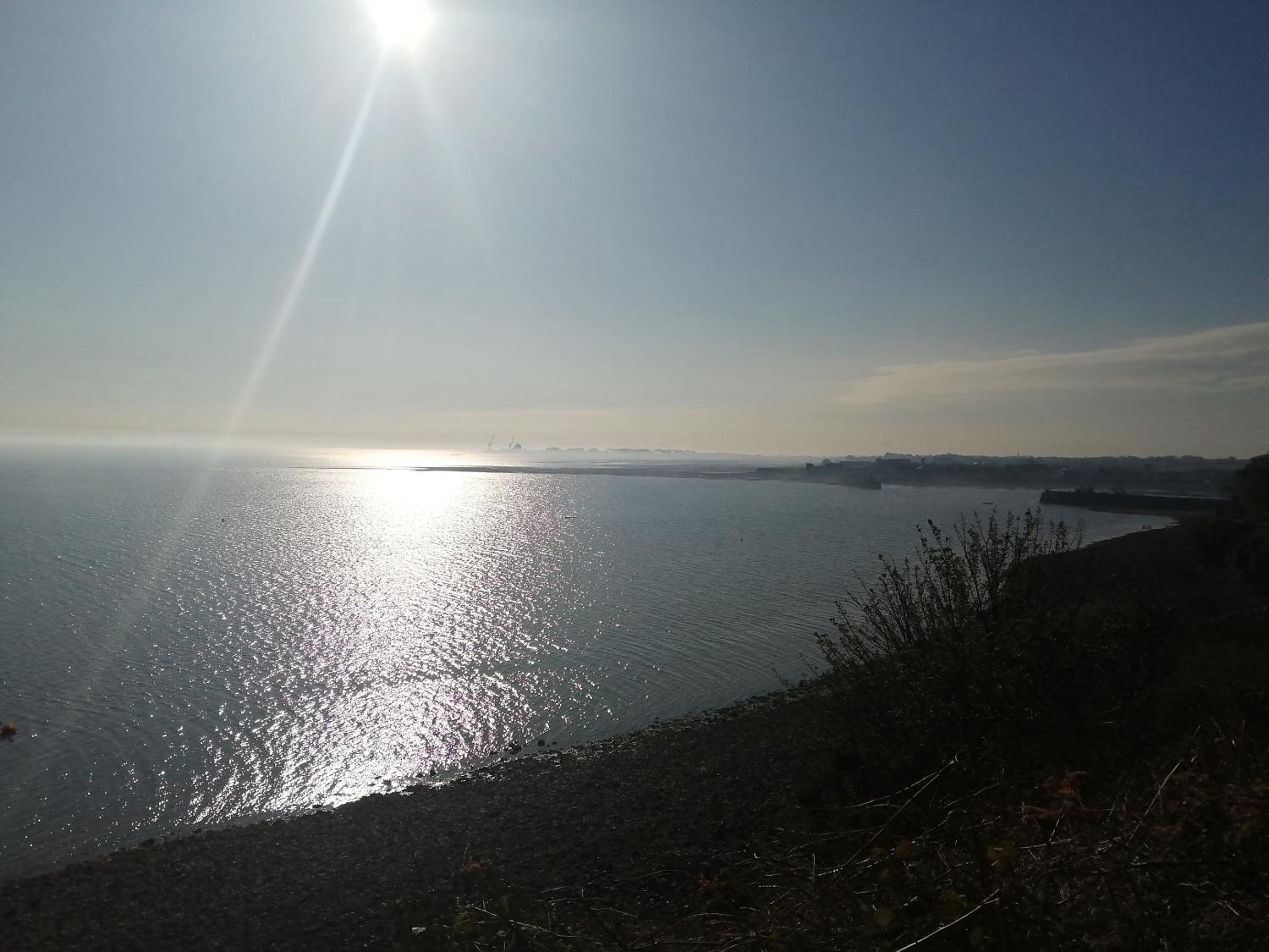 Фото The Oystercatcher