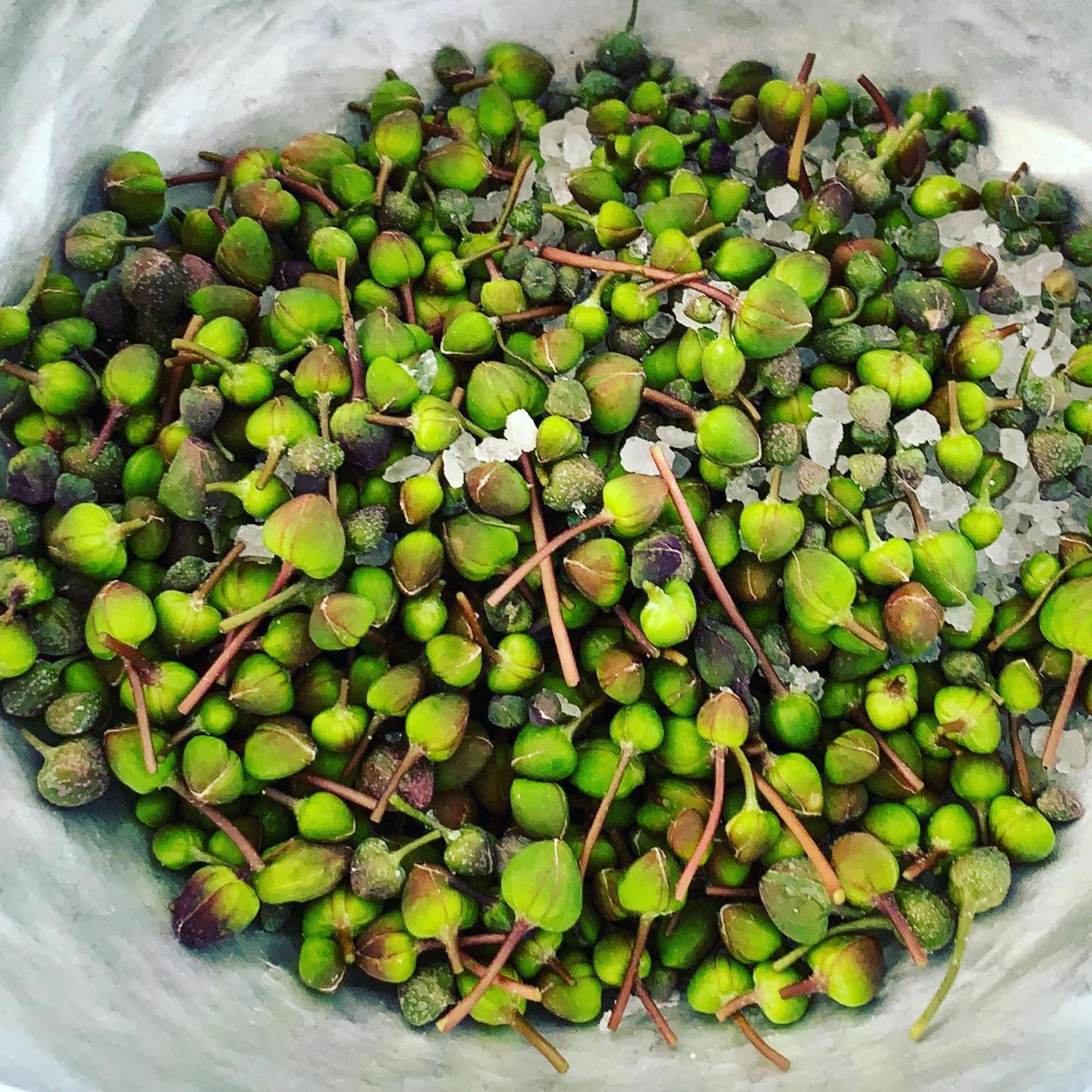 Фото Umberto a Mare