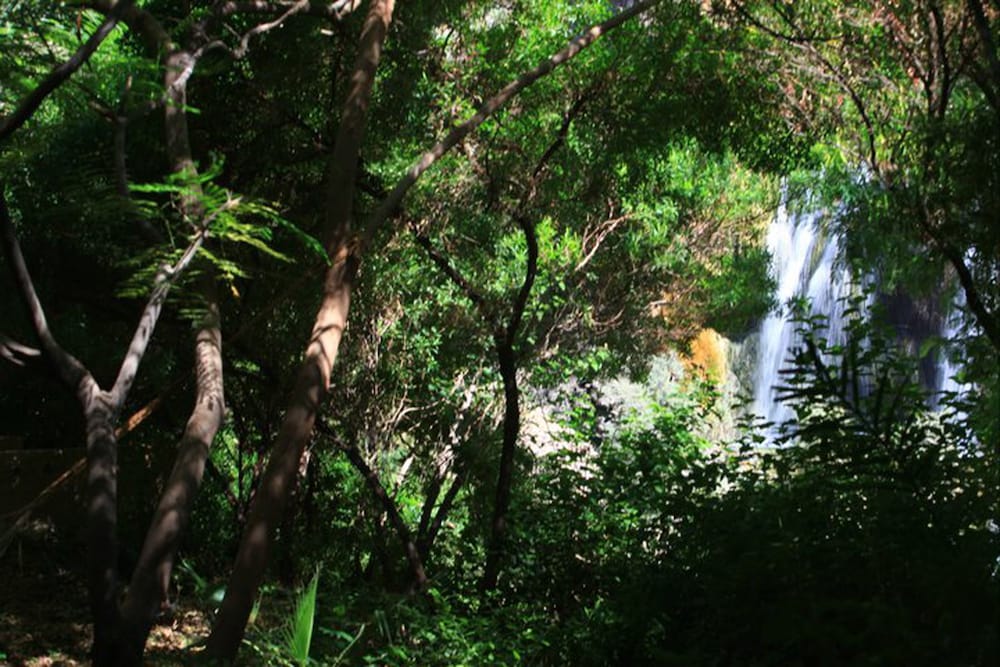 Фото Ma'In Hot Springs