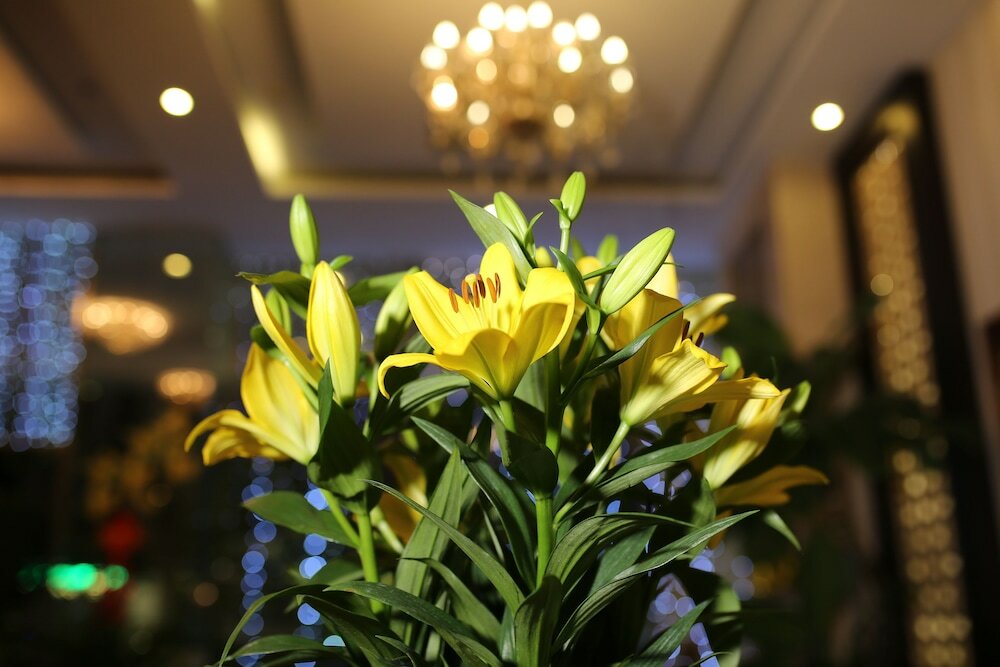 Фото Hoang Sa Hotel