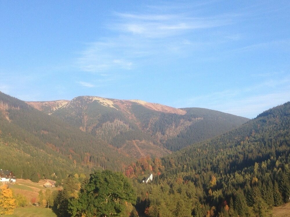 Фото Alpský hotel
