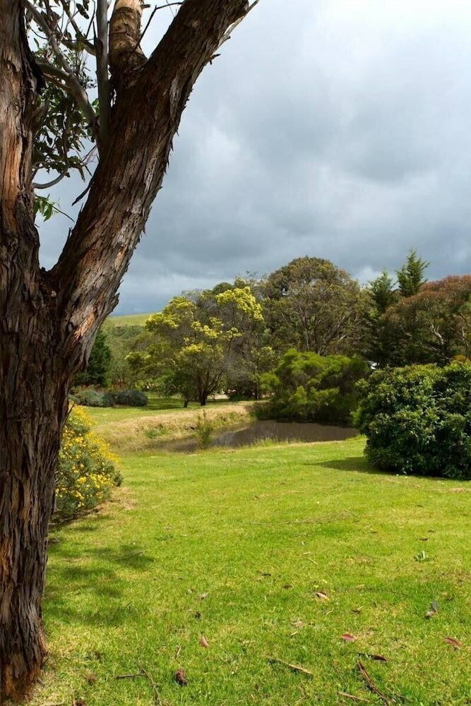 Фото Bellbrae Motel