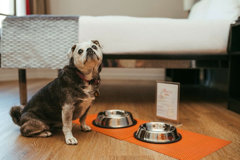 Фото 131652367698