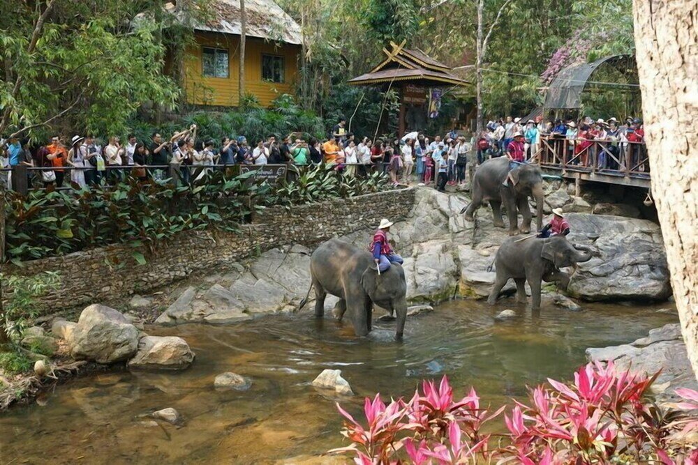 Фото Chada Mantra Hotel