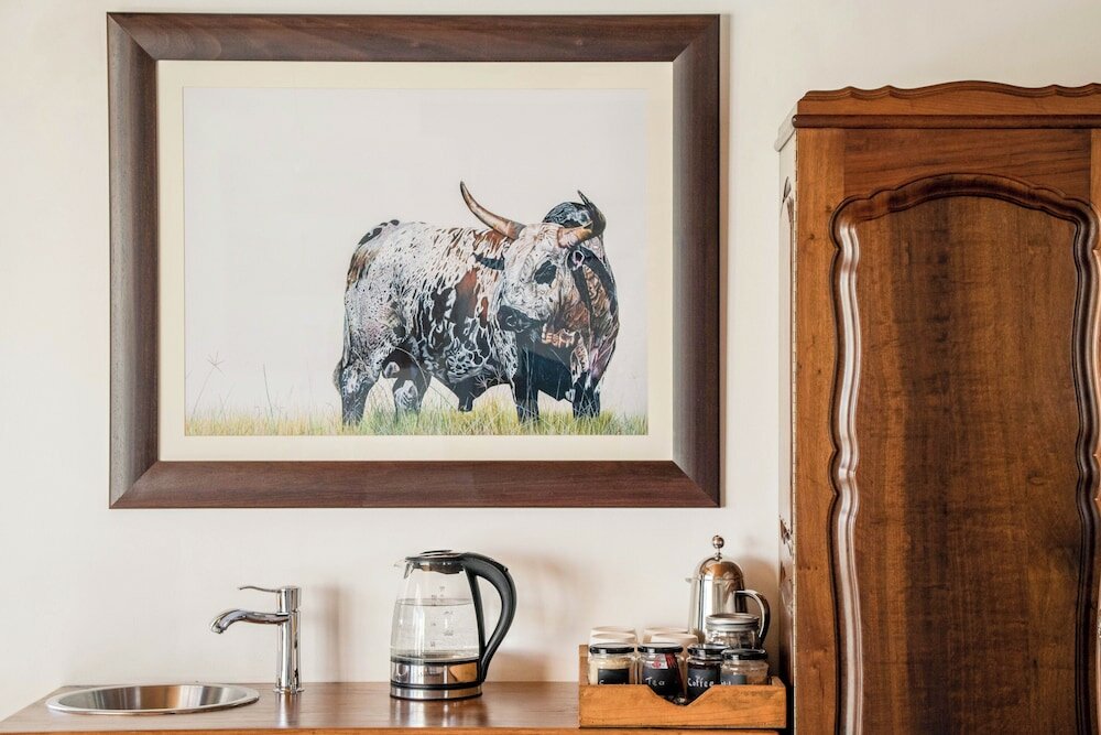 Фото Duikersdrift Winelands Country Escape