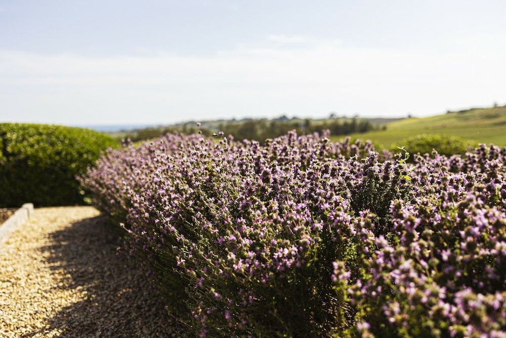 Фото La Foresteria Planeta Estate