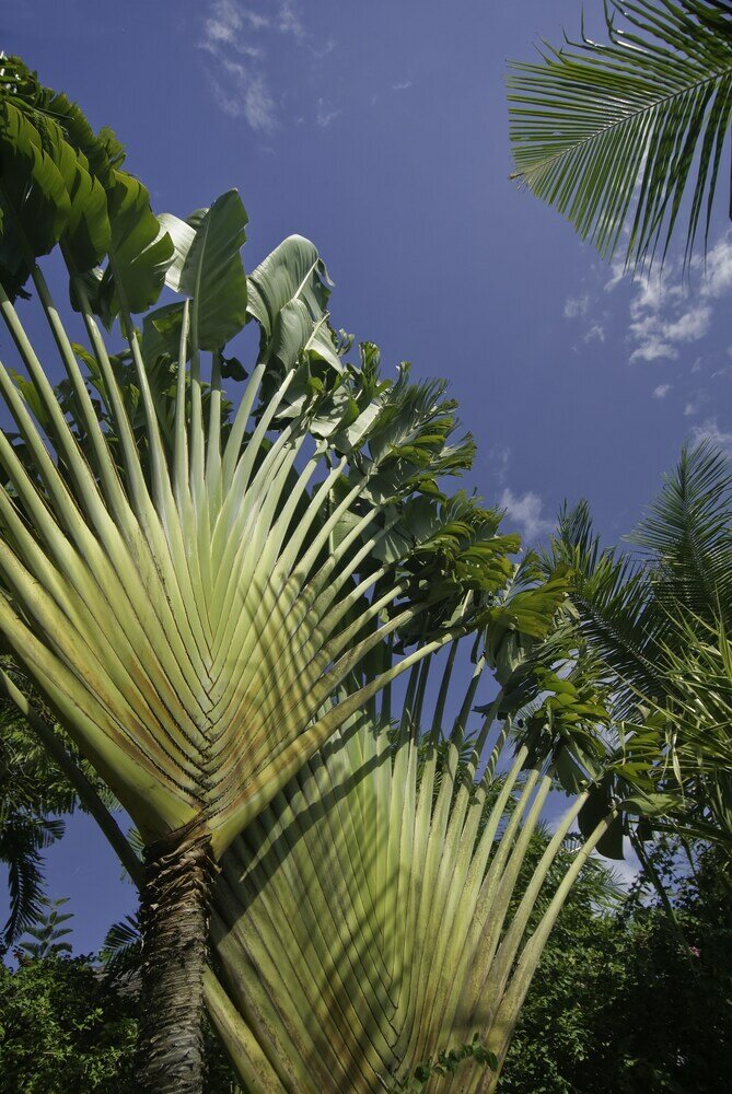 Фото Anyar Estate