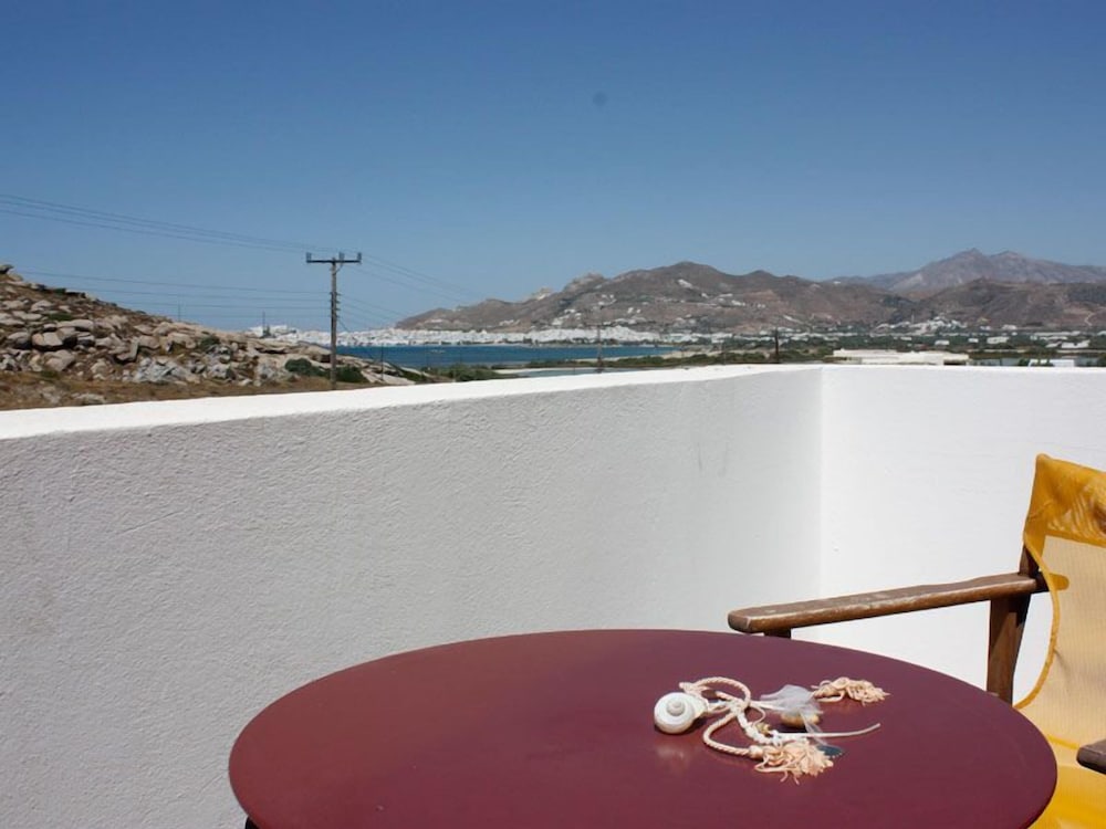 Фото Naxos Palace Hotel