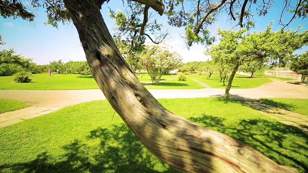 Фото Villaggio dei Pini